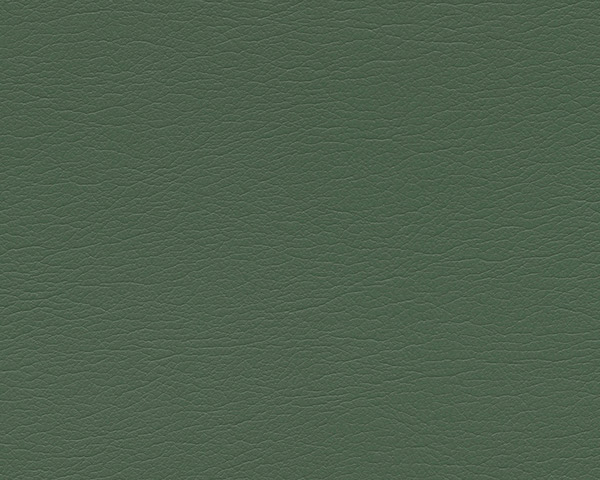 Arugula