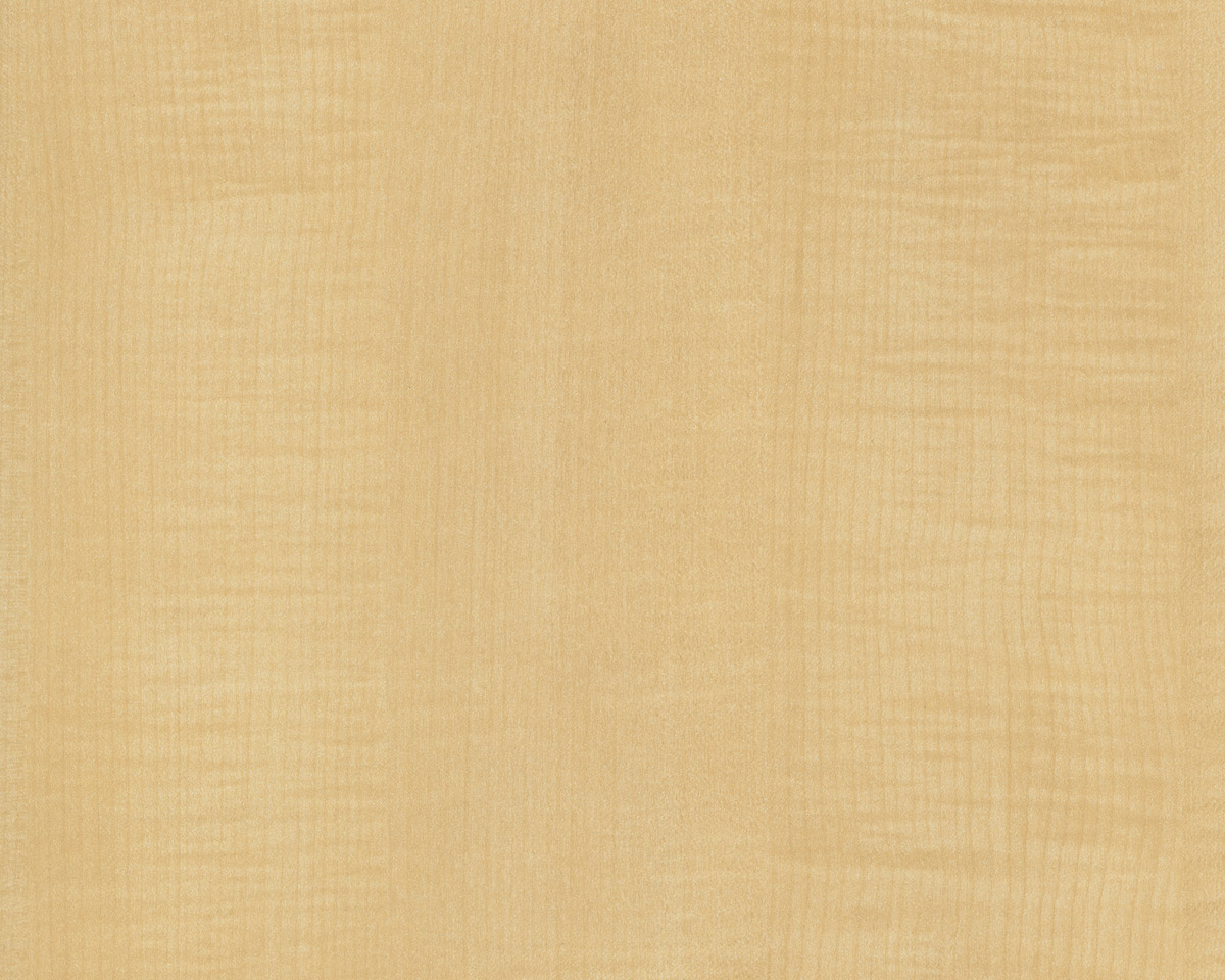 Fine Sycamore