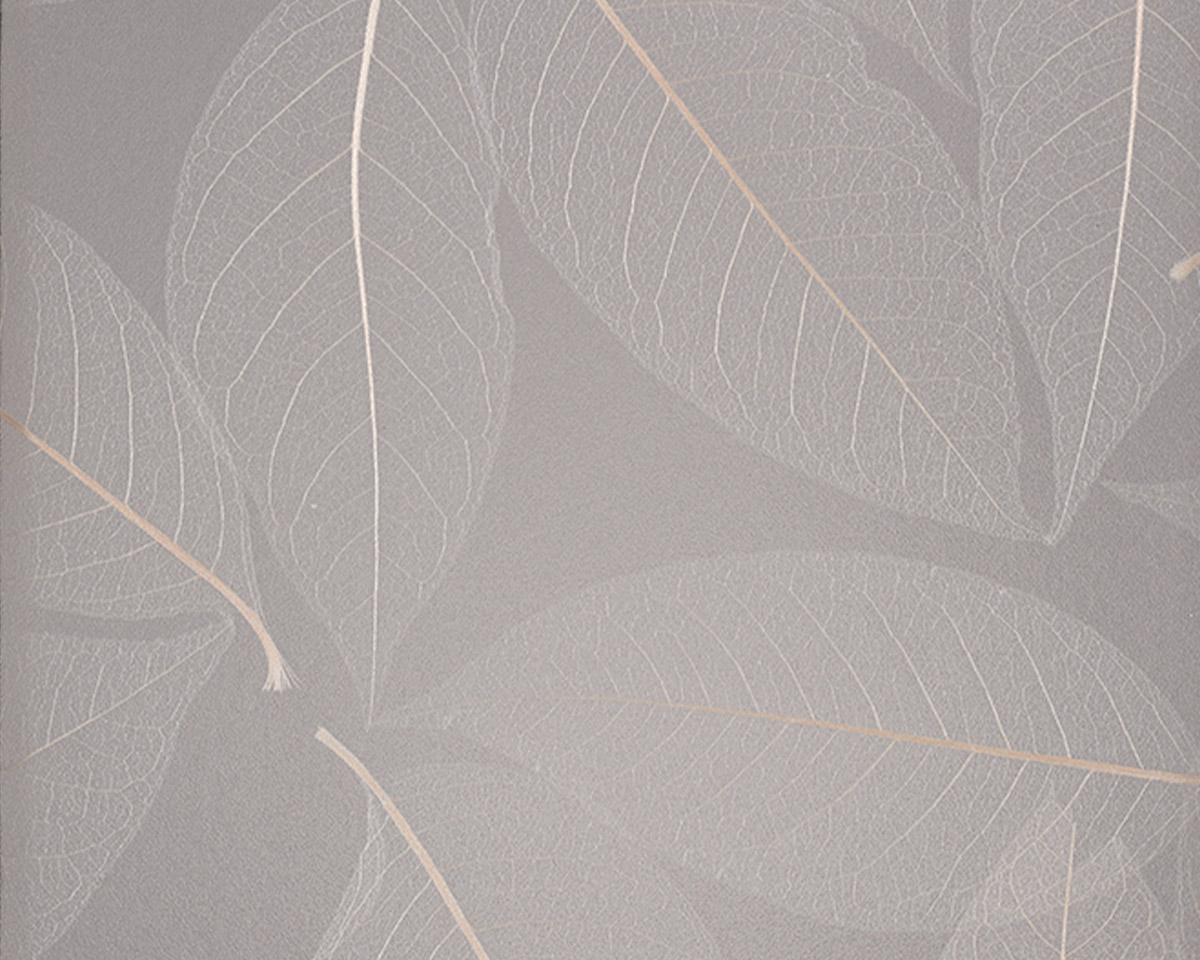 Fossil Leaf Random